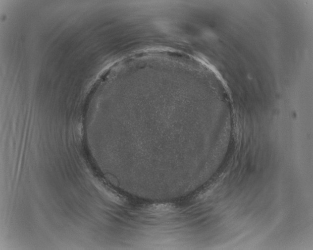 X0000071860063200607141825