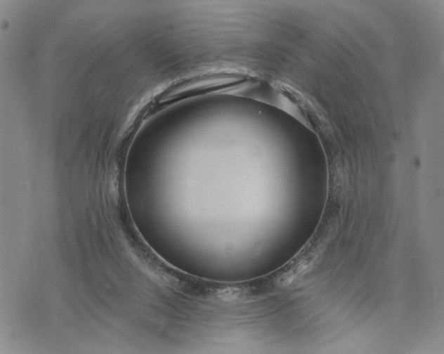 X0000071860064200607141825