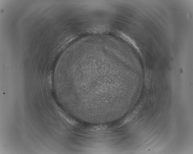 X0000071860065200607141825