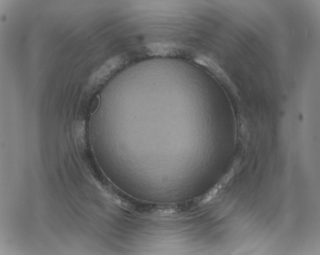 X0000071860066200607141825