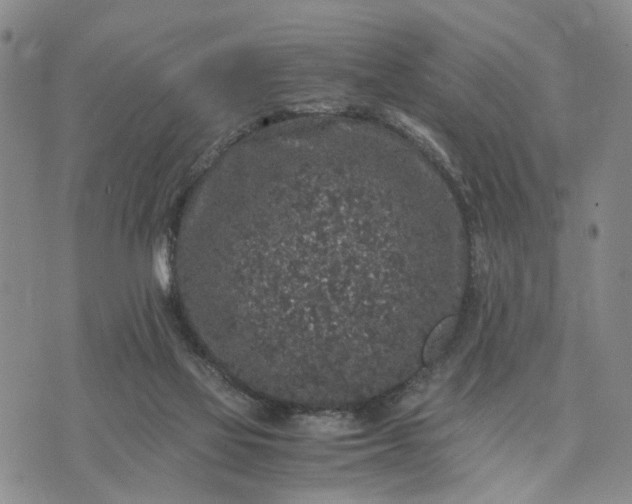 X0000071860069200607141826