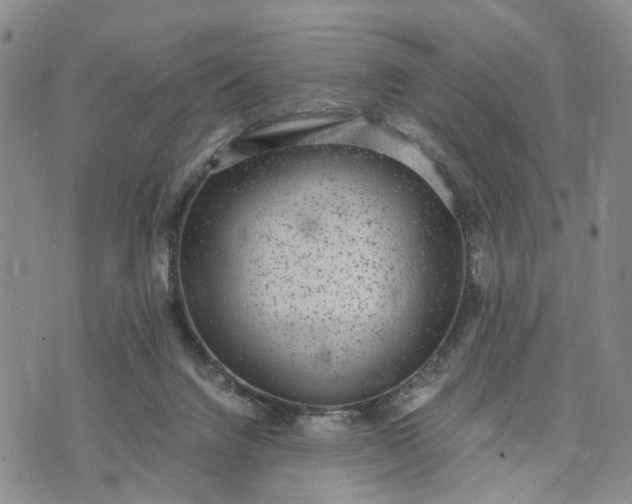 X0000071860072200607141826