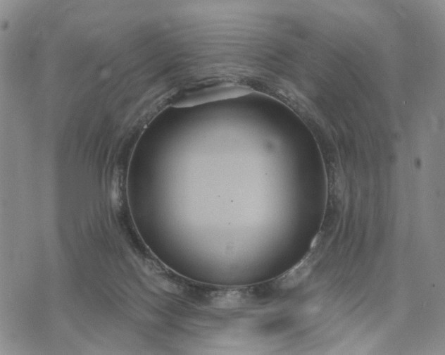 X0000071860074200607141826