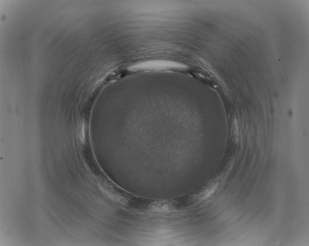 X0000071860076200607141826