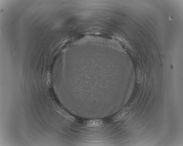 X0000071860077200607141826