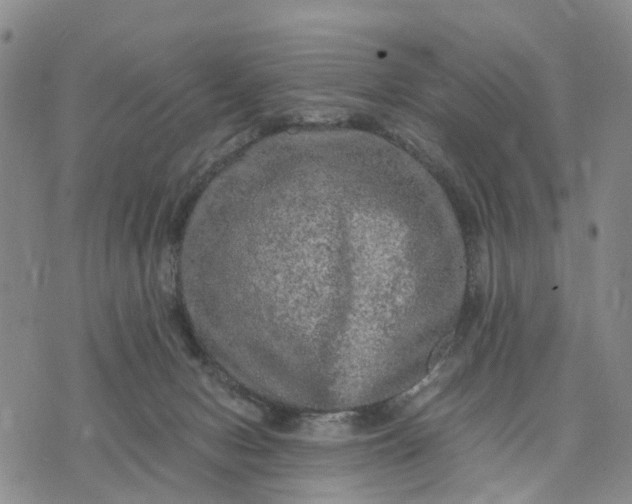 X0000071860078200607141826