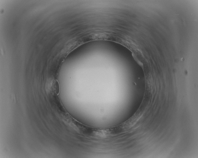 X0000071860079200607141826