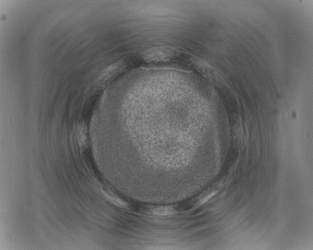 X0000071860081200607141826