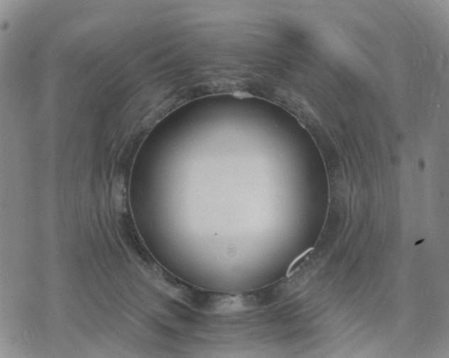 X0000071860083200607141826