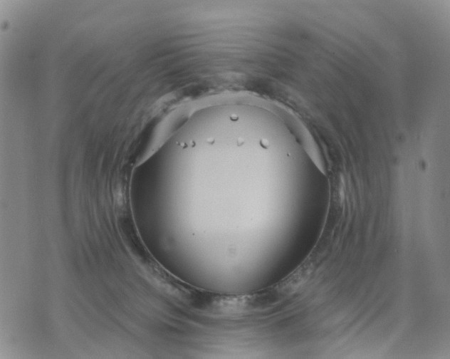 X0000071860084200607141826