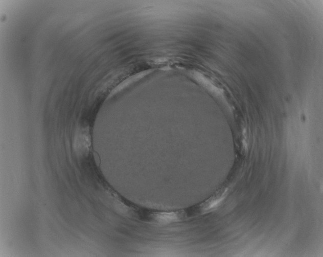 X0000071860085200607141826