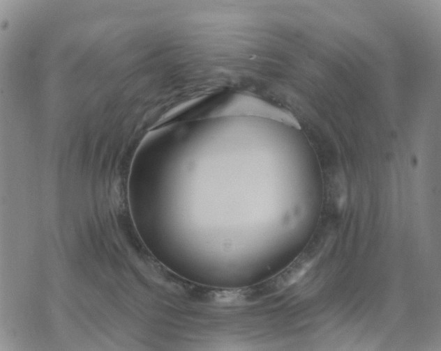 X0000071860088200607141826