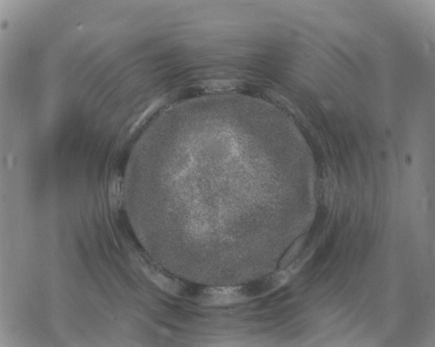 X0000071860093200607141826