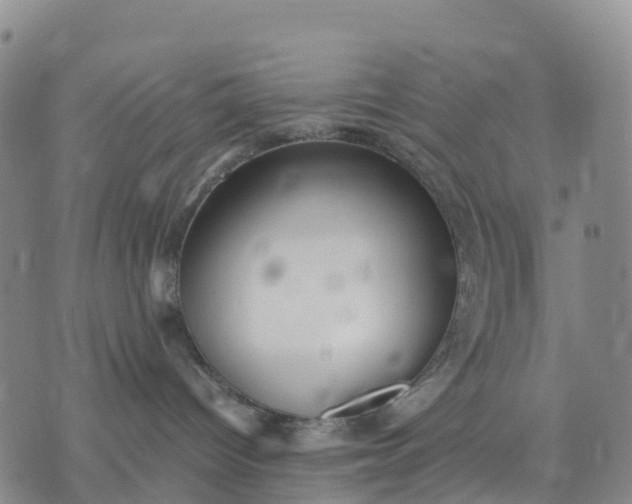 X0000071860096200607141826