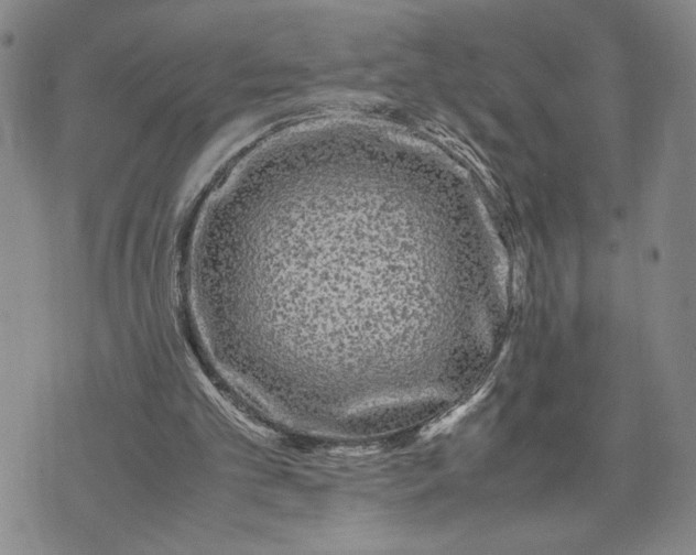 X0000071860101200607141825