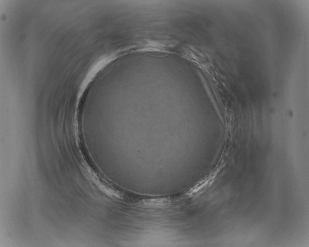 X0000071860102200607141825