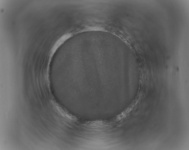 X0000071860104200607141825