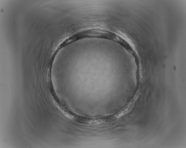 X0000071860105200607141825