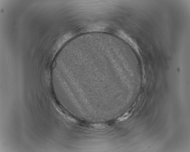 X0000071860107200607141825