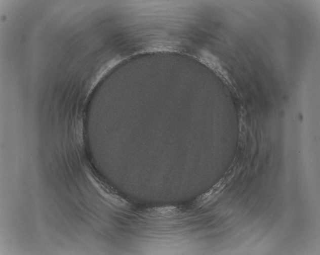 X0000071860108200607141825