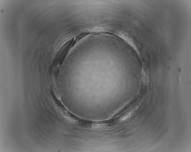 X0000071860109200607141825