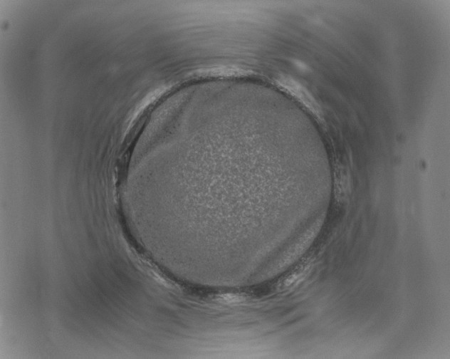 X0000071860111200607141825