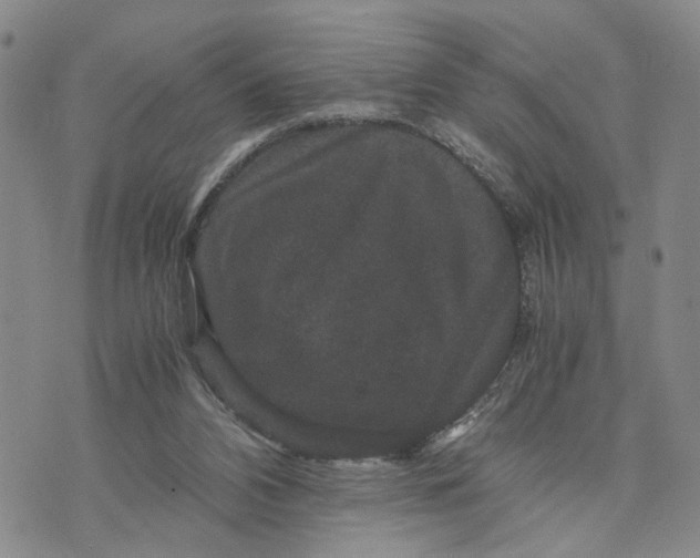 X0000071860112200607141825