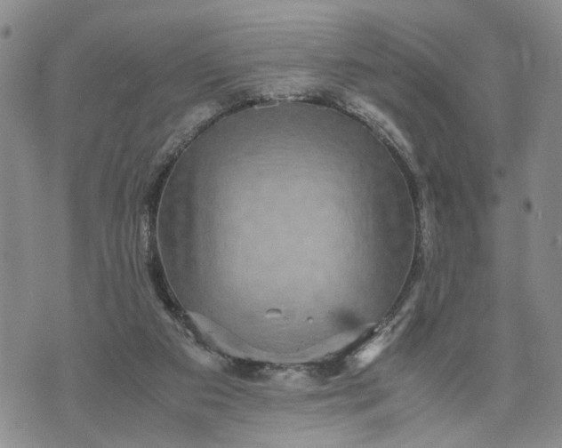 X0000071860113200607141825