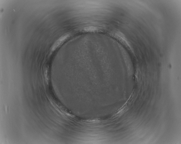 X0000071860116200607141825