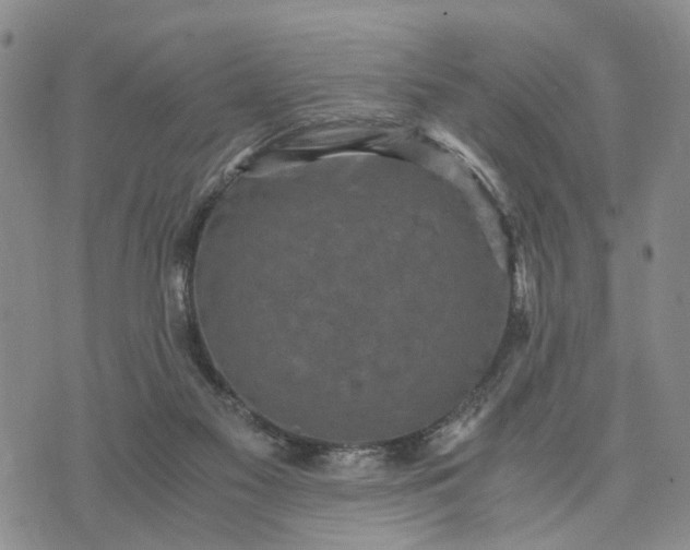 X0000071860117200607141825