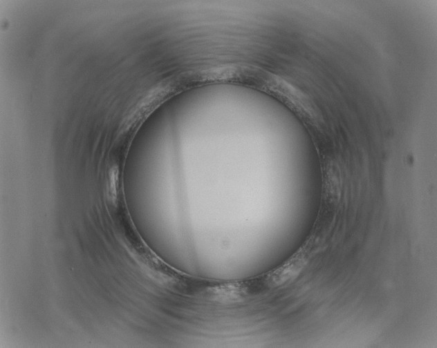 X0000071860118200607141825