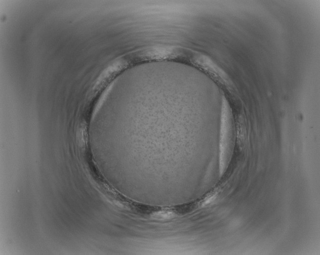 X0000071860119200607141825