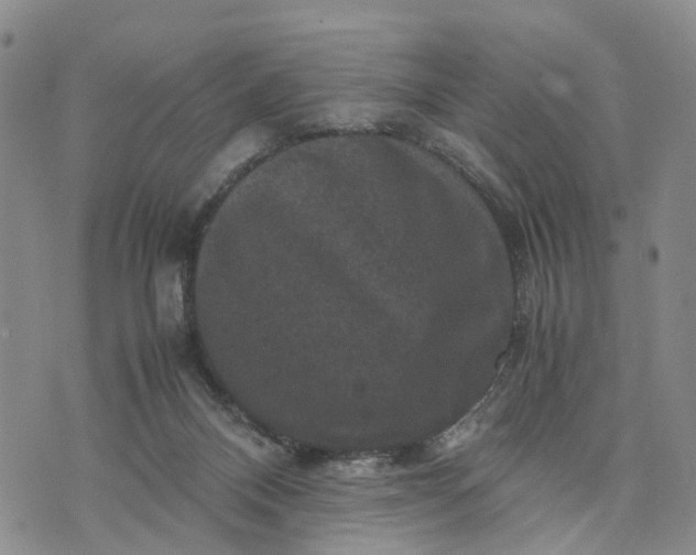 X0000071860120200607141825