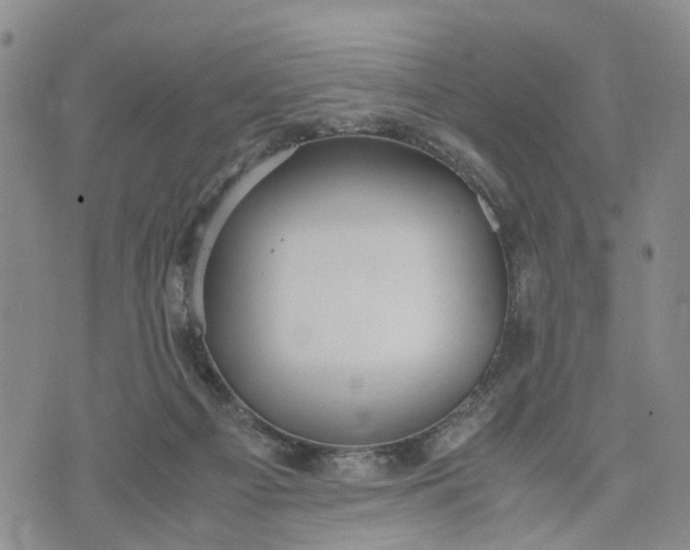 X0000071860121200607141825