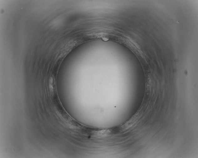 X0000071860122200607141825