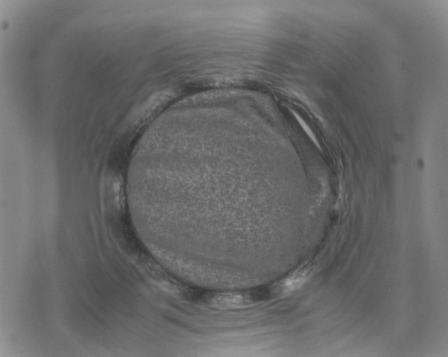 X0000071860123200607141825