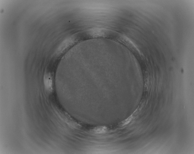 X0000071860124200607141825