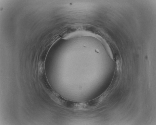 X0000071860125200607141825