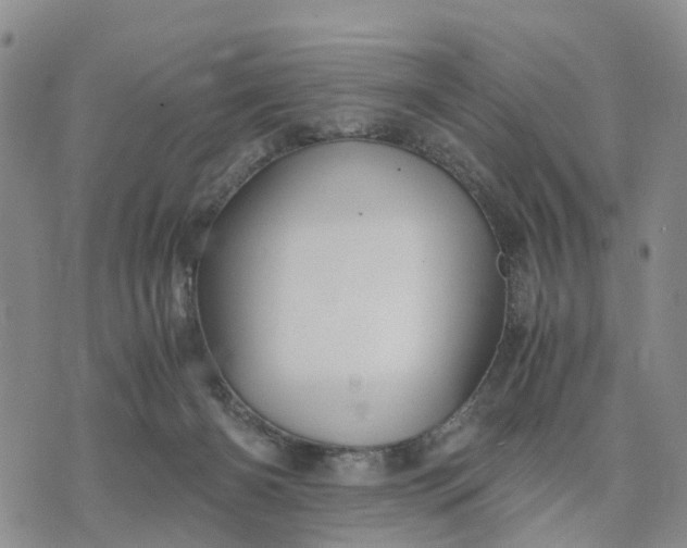 X0000071860126200607141825