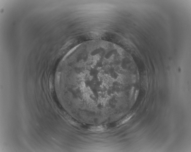 X0000071860131200607141825