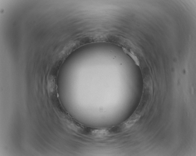 X0000071860133200607141825