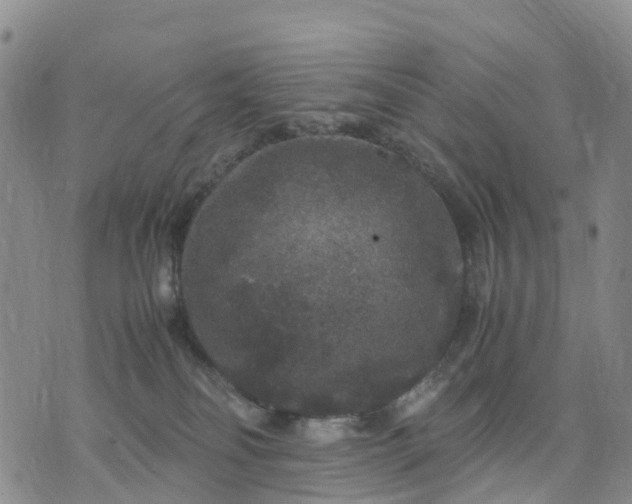 X0000071860134200607141825