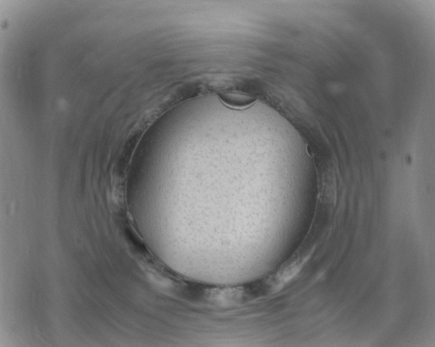 X0000071860135200607141825