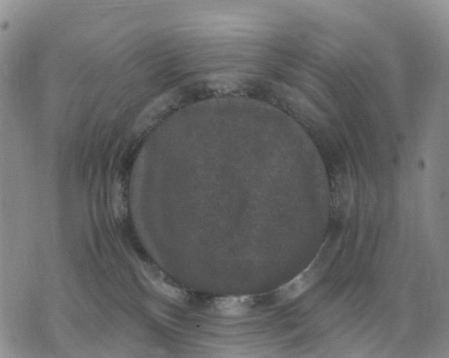 X0000071860136200607141825