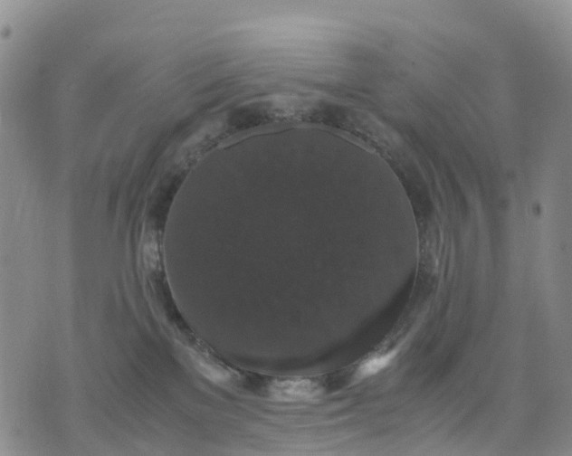 X0000071860137200607141825