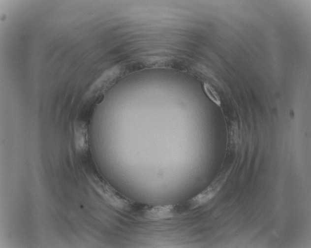 X0000071860138200607141824