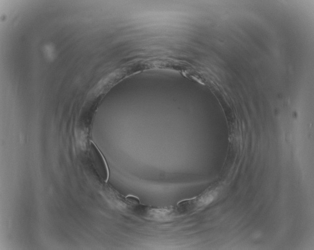 X0000071860139200607141824