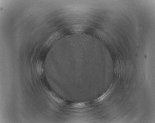 X0000071860140200607141824