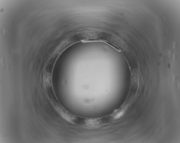 X0000071860141200607141824