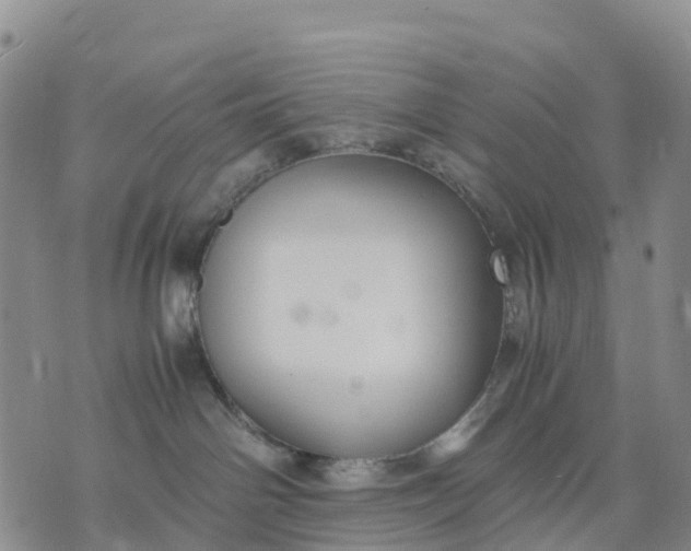 X0000071860142200607141824